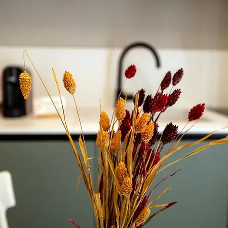 Apartman Aria D'amare *